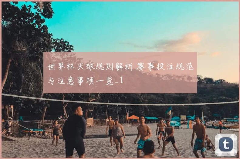 世界杯买球规则解析 赛事投注规范与注意事项一览_1