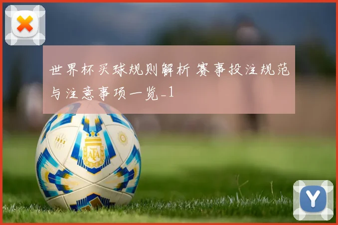 世界杯买球规则解析 赛事投注规范与注意事项一览_1