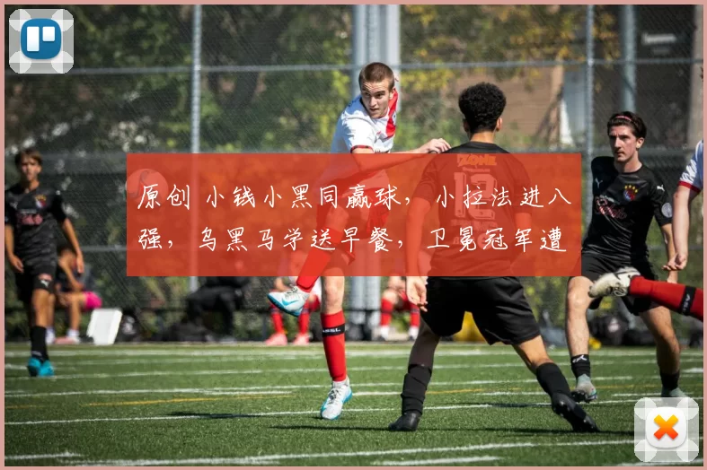 原创 小钱小黑同赢球，小拉法进八强，乌黑马学送早餐，卫冕冠军遭爆冷